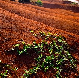 悬疑冒险游戏《九十六号公路》将登录PS和Xbox 4月14日发售