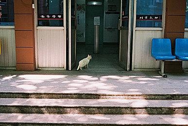 《鬼玩人：游戏》现已发售 登陆全平台